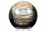 Petrified Wood (Tropical Hardwood) Sphere - Indonesia #266119-1